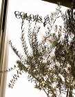 横浜のデザイン&シンプルリフォーム、リノ... 目黒区 SHOP