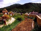 矢野南小学校 象設計集団