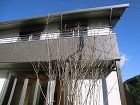 新地の家 /sinti1/img006.jpg