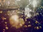 市ノ川 倫子 作品展　Even if the sky cracks and lies drop