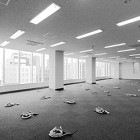 フ?ライム本町ヒ?ルテ?ィンク? | L...