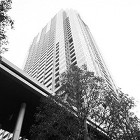 THE ROPPONGI　TOKYOパー...