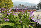 Villa Siena 草屋根 | 草屋...