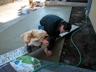 私たちが建てる木の家について - 木の家...
