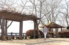 『小さな幸せを積み重ねて夢を追う暮らし』