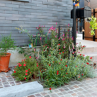 神奈川県　S邸 | 施工例 | 無垢フロ... /img/works/4_1622686663-7G1A1823.jpg