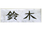 NT-401(White)