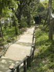 多摩川台公園整備工事