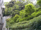 大田区立池上会館