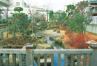 大田区立羽田小学校造園工事