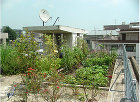 casa09 /casa09/ca14.jpg