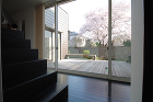 桜の見える家｜有限会社 MY Desig... /works/house/sakura/images/photo_09.jpg
