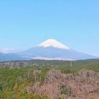 玉川ハウジングの家 https://tamagawahousing.co.jp/wp-content/uploads/2026/01/396e1e67888d13401b0d3973d0394e72-260101090107275-200x200.jpg