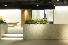 ほしやま整形外科医院 | P・i・E -... 整形外科クリニック外観