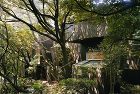 Dancing trees, Singing birds | Hiro...