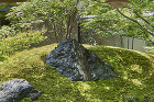 笏谷石の磐座。山頂には葉の小さい灯台躑躅を植えて遠景としている。 photo