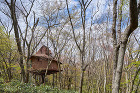 Tree Hut on Volcano | Hiroshi Nakam...