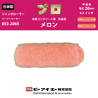 メロン / 【通販 激安ペイントツールド... html/upload/save_image/0305144432_67c7e4c047d00.jpg