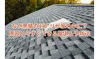 なぜ黒蟻の羽アリが家の中に？｜原因と今すぐできる撃退＆予防法