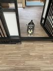会員建築作品紹介 | 委員会紹介 | 愛... upimg/i1/images/hatanaka9.jpg