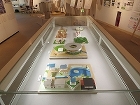 作品展2017 | 大野建築設計事務所