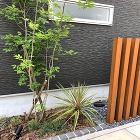 アオダモを植えたモダンな外構工事【埼玉県... 玄関先に植えたアオダモ