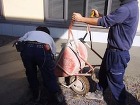 一輪車で生コンを運びます