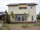 広い庭に桜ソメイソシノを植えました