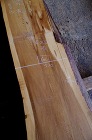 屋久杉 yakusugi01 | 丸萬 ... https://maruman-kyoto.com/wp-content/uploads/2025/11/IMGP2630ssc.jpg