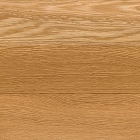 オーク（ナラ）