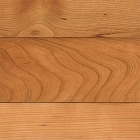 アメリカンチェリー