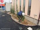店舗兼住宅の外構植栽 植付け