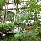 No.241 感通寺 庭園入口 横浜の造... 施工後(10)