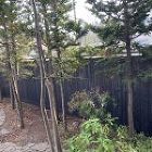 No.246 焼杉塀 焼杉板塀 焼杉の塀... 施工後(1)
