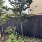 No.246 焼杉塀 焼杉板塀 焼杉の塀... 施工後(2)