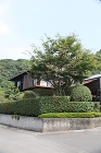 大屋根の家｜ 西 久志建築設計 case/IMG_0355.JPG