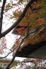 大屋根の家｜ 西 久志建築設計 case/IMG_0704.JPG