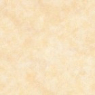 pdt_flr_clr_mdl1408