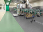 Bottles with vodka on the conveyor. Production and bottling of alcoholic beverages.