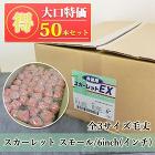 スカレートEXローラー 6インチ スモー... スカーレットEXローラー 6インチ スモ...