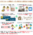 情報コンテンツ | アンジュミュール新発... アンジュミュール