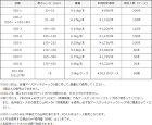 アースデッキDWプラス(被覆加工廃木・廃...