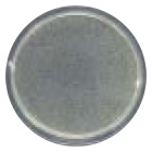 アースデッキソリッドグレイン(被覆加工廃...