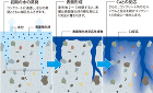 表面強化材のメカニズム 表面強化材のメカニズム