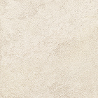 ユーロセラムT20コレクション(輸入セラ...