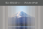 ブリンカースLD(大型スタンダードルーバ... ブリンカースLD