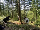 家族4人の24坪の小さな家（尼崎市）完成... https://www.solarcom.jp/wp-content/uploads/2022/11/IMG_3965.jpg