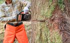 美しい中庭と吹き抜けのある家　山とつながる家づくり