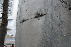 建築物紹介:塔の家 | 建築物紹介サイト... 塔の家