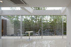 WADA DENTAL CLINIC |...
